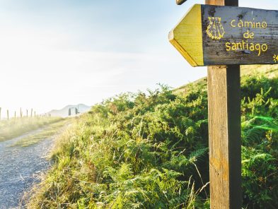 Camino Sign